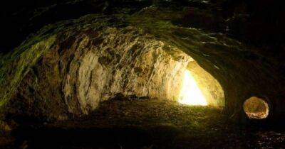 Возрастом полмиллиона лет. В польской пещере обнаружили следы особого вида человека