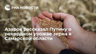 Губернатор Азаров: Самарская область в 2022 году собрала 3,5 миллиона тонн зерновых