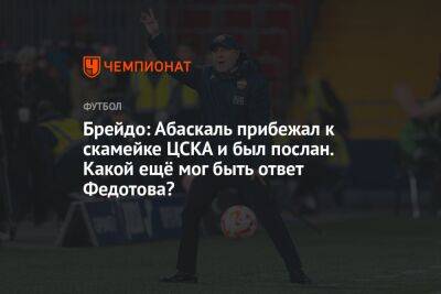 Брейдо: Абаскаль прибежал к скамейке ЦСКА и был послан. Какой ещё мог быть ответ Федотова?