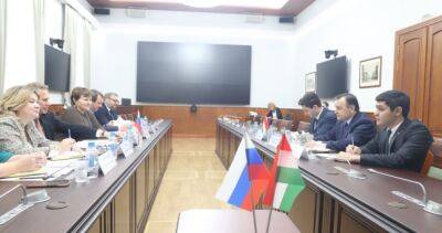 Вопросы производства лекарств в Таджикистане обсудили в России