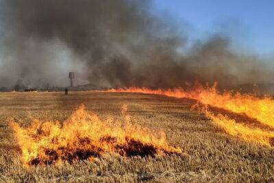 В Тверской области проходят совещания по пожарной безопасности на сельхозугодьях