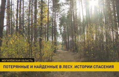 Пойти в лес и вернуться через четыре дня. Сотрудники МЧС спасли пропавшую жительницу Глусского района