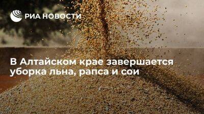 Аграрии Алтайского края убрали рапс, лен и сою с 94-96% площадей
