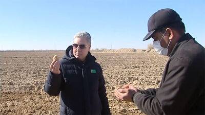 Несмотря на увеличение посевных площадей под картофель, Туркменистан начал закупать его в Орловской области России