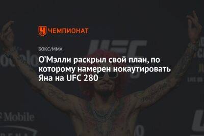 О’Мэлли раскрыл свой план, по которому намерен нокаутировать Яна на UFC 280
