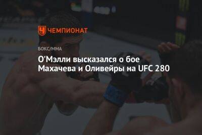 О'Мэлли высказался о бое Махачева и Оливейры на UFC 280