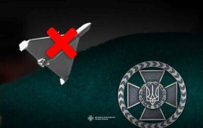 На Одесчине сбили дрон из стрелкового оружия