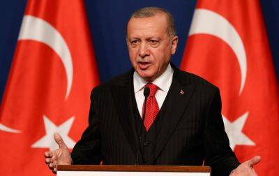Ердоган заявив, що домовився з Путіним про створення в Туреччині "газового хаба"