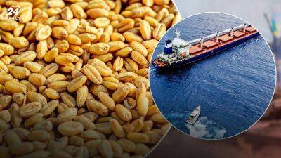 "Зерновая инициатива" в деле: из украинских портов вышли новые суда с зерном