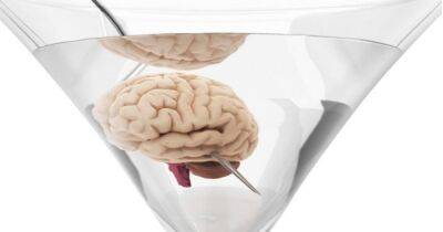Пересадка головного мозга человека: возможно ли это и какие проблемы могут возникнуть