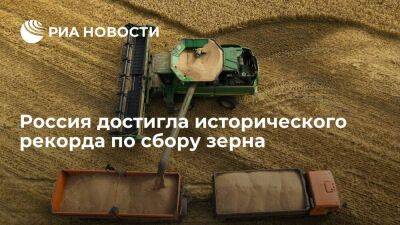 Россия достигла исторического рекорда по сбору зерна, собрав 147,5 миллионов тонн