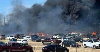 Непотушенный окурок стал причиной пожара, уничтожившего более 70 авто (видео)