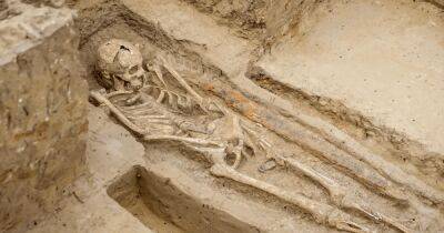 В древнем черноморском городе нашли могилу жрицы Афродиты Урании (фото) - focus.ua - Россия - Украина - Иран