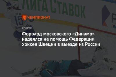 Форвард московского «Динамо» надеялся на помощь Федерации хоккея Швеции в выезде из России