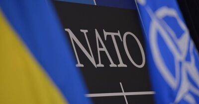 Первый шаг на пути к НАТО: девять стран ЕС поддержали вступление Украины в Альянс