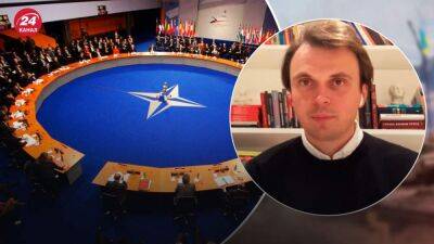 Были ли согласия по вступлению Украины в НАТО и сколько стран нас поддерживает: объяснение Давидюка