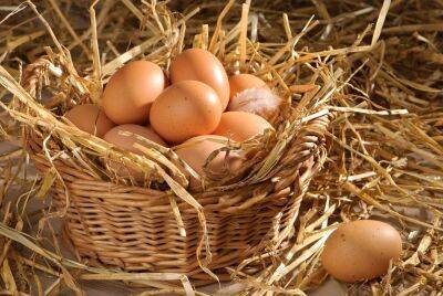 В Україні злетіли ціни на яйця: що буде далі