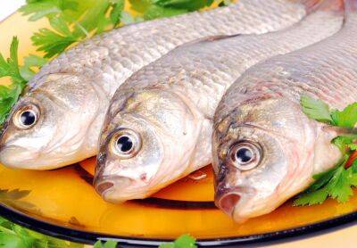 В Тверской области торговали рыбой неизвестного происхождения