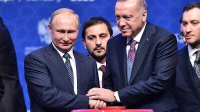 Эрдоган одобрил идею Путина о строительстве газового хаба в Турции