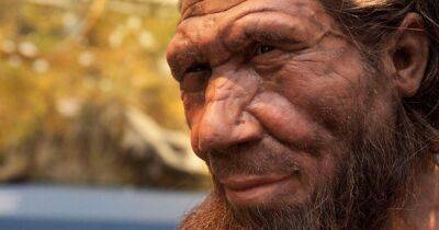 Возрастом 59 000 лет. В российской пещере обнаружили останки целой неандертальской семьи