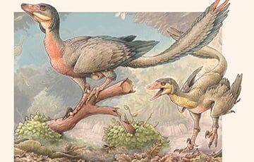 Найден крупнейший динозавр-страус из Северной Америки