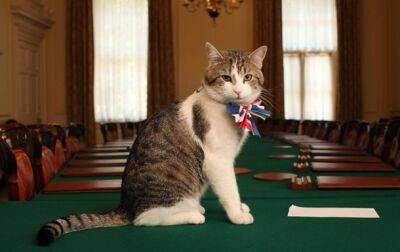 принц Чарльз - Лиз Трасс - Главный кот Британии: Король попросил меня стать премьером - korrespondent.net - Украина - Англия - Премьер-Министр - Twitter