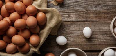Антимонопольний комітет взявся за курячі яйця: перевіряє, чому вони так зросли в ціні