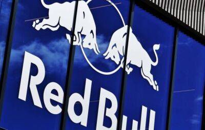Red Bull сделает заявление по нарушениям регламента