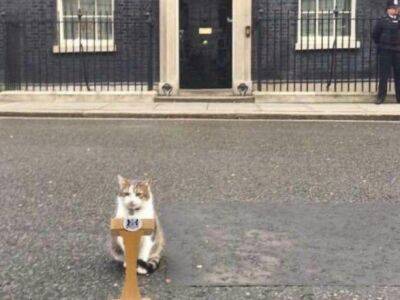 Борис Джонсон - Лиз Трасс - Король попросил меня стать премьером: кот Ларри с Даунинг-стрит потроллил Лиз Трасс - unn.com.ua - Украина - Киев - Англия - Великобритания - Twitter