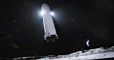 Европейское космическое агентство заменило Роскосмос услугами SpaceX