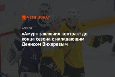 «Амур» заключил контракт до конца сезона с нападающим Денисом Вихаревым