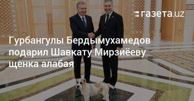 Гурбангулы Бердымухамедов подарил Шавкату Мирзиёеву щенка алабая