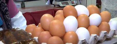Цены на яйца бьют рекорды, в Антимонопольном комитете дали неожиданный ответ: "Может и не иметь объективных оснований"