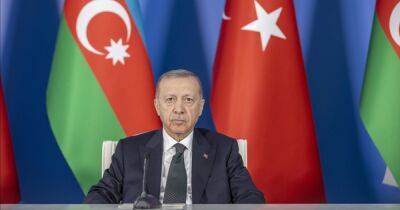 "Надежда на мир": Эрдоган планирует поговорить с Зеленским и Путиным