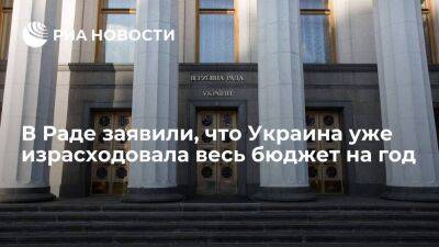 Депутат Рады Железняк заявил, что Украина уже израсходовала весь свой годовой бюджет