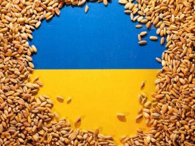 россия может заработать около 600 млн долларов в этом году на украденном украинском зерне
