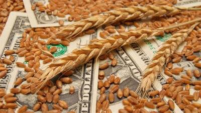 Банки видали аграріям кредитів на 67 млрд гривень, - Мінагрополітики