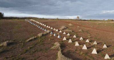 Четыре ряда пирамид: появились спутниковые снимки оборонительной "Линии Вагнера" на Донбассе