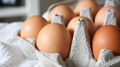 Что будет с ценами на яйца: прогноз эксперта
