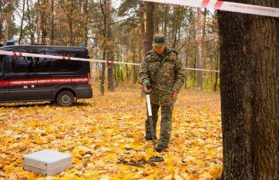 В лесу недалеко от поселка Кесова Гора нашли скелет человека