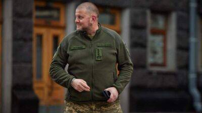 Не знали даже США: Залужному удалось утаить план обороны Украины перед вторжением, – СМИ