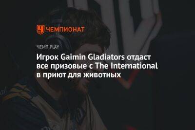 Игрок Gaimin Gladiators отдаст все призовые с The International в приют для животных