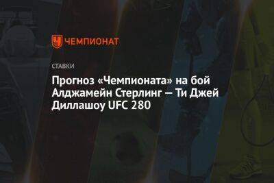 Прогноз «Чемпионата» на бой Алджамейн Стерлинг — Ти Джей Диллашоу UFC 280
