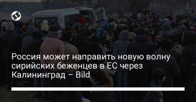 Россия может направить новую волну сирийских беженцев в ЕС через Калининград – Bild