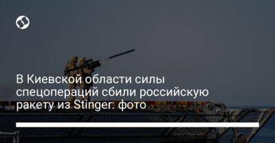 В Киевской области силы спецопераций сбили российскую ракету из Stinger: фото