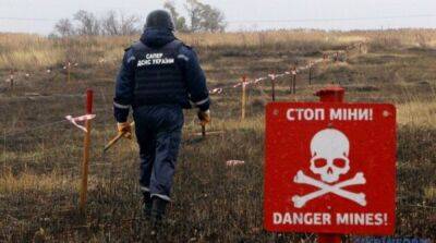 Стало известно, сколько взрывоопасных предметов ГСЧС обезвредила на Киевщине