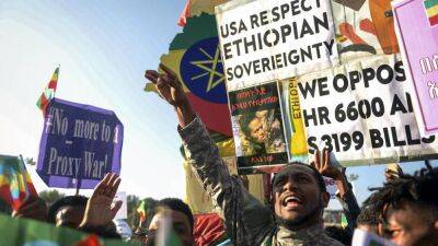 Массовые проправительственные демонстрации в городах Эфиопии