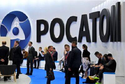 Российскую делегацию не пустили в США на конференцию МАГАТЭ