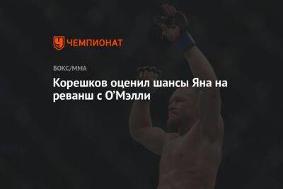 Корешков оценил шансы Яна на реванш с О’Мэлли