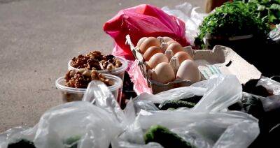 К Новому году станут "золотыми": украинцам рассказали, как изменятся цены на яйца